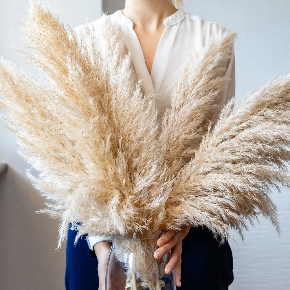 Pampas Grass Decor - 120cm - 130cm ふわふわ大きなススキ、ナチュラルドライフラワーブーケ、ボヘミアンウェディングデコレーション、ショップオーナメント、ヴィンテージホームデコレーション