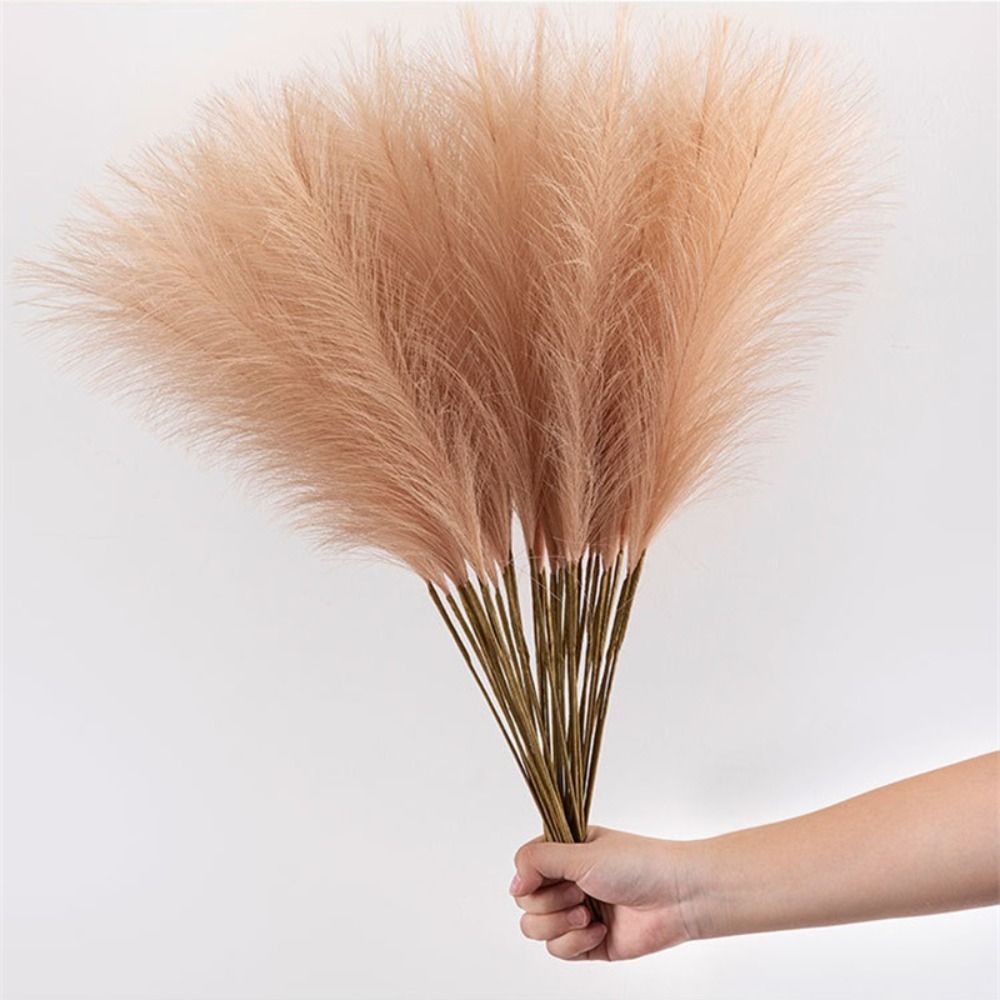 10本セット、お部屋の装飾に最適な、ふわふわのパンパスグラス - Pampas Grass Decor のレビューと価格