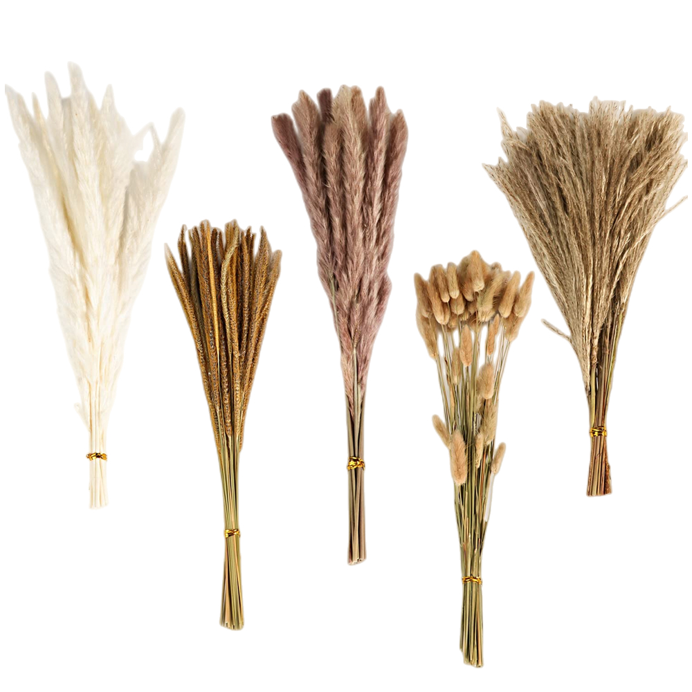 秋のヴィンテージミックスドライフラワーブーケ、パンパスグラス - Pampas Grass Decor のレビューと価格
