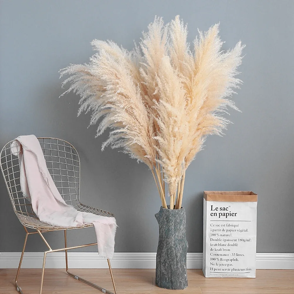 120cm - 130cm ふわふわ大きなススキ、ナチュラル - Pampas Grass Decor のレビューと価格