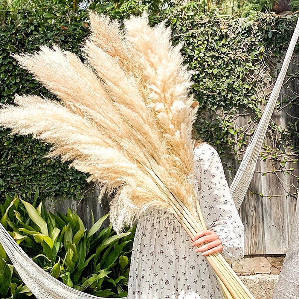 大きな乾燥した湿地の葦,ふわふわ,自由奔放に生きる家の装飾, - Pampas Grass Decor のレビューと価格