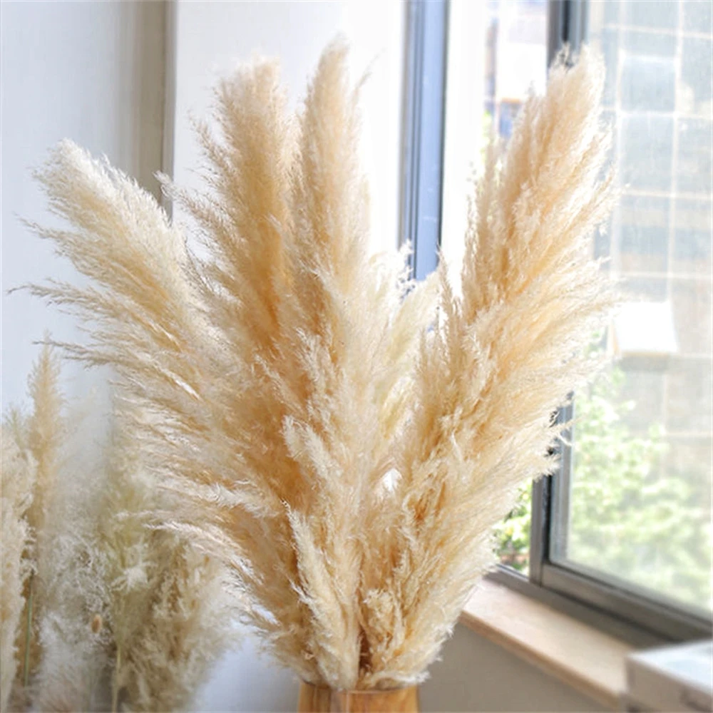 大きな乾燥した湿地の葦,ふわふわ,自由奔放に生きる家の装飾, - Pampas Grass Decor のレビューと価格