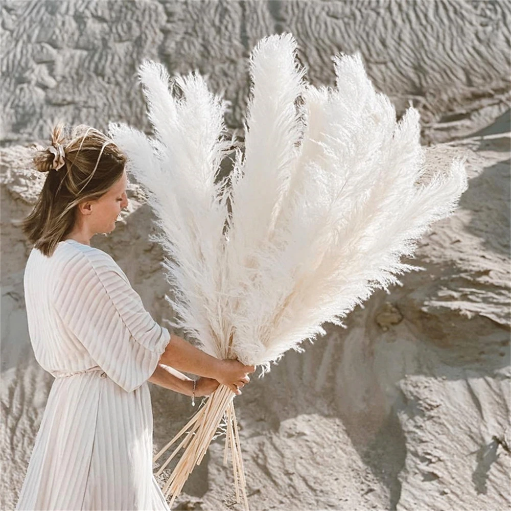 大きな乾燥した湿地の葦,ふわふわ,自由奔放に生きる家の装飾, - Pampas Grass Decor のレビューと価格
