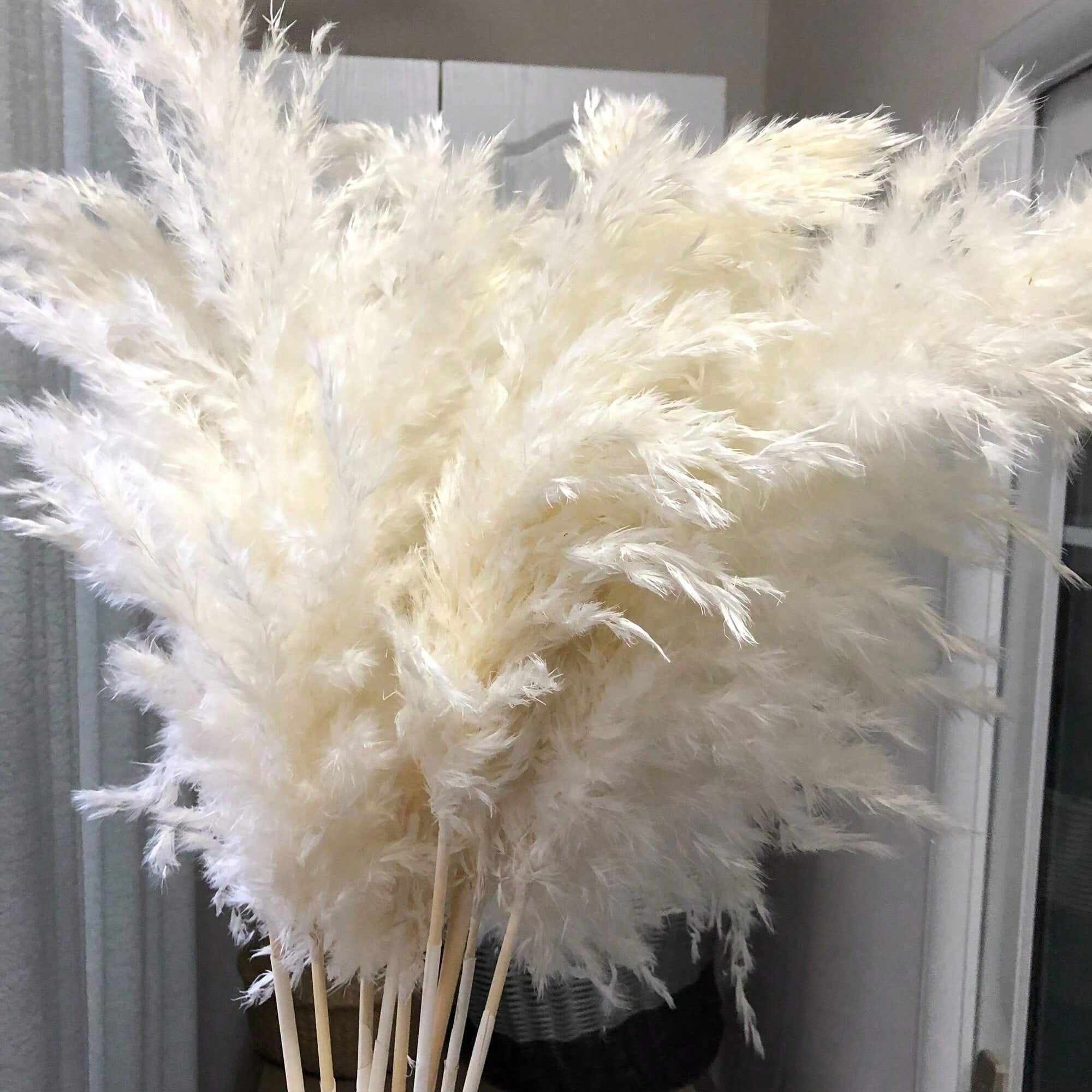 10/20/30個入り ホワイト人工パンパスグラスデコレーシ - Pampas Grass Decor のレビューと価格